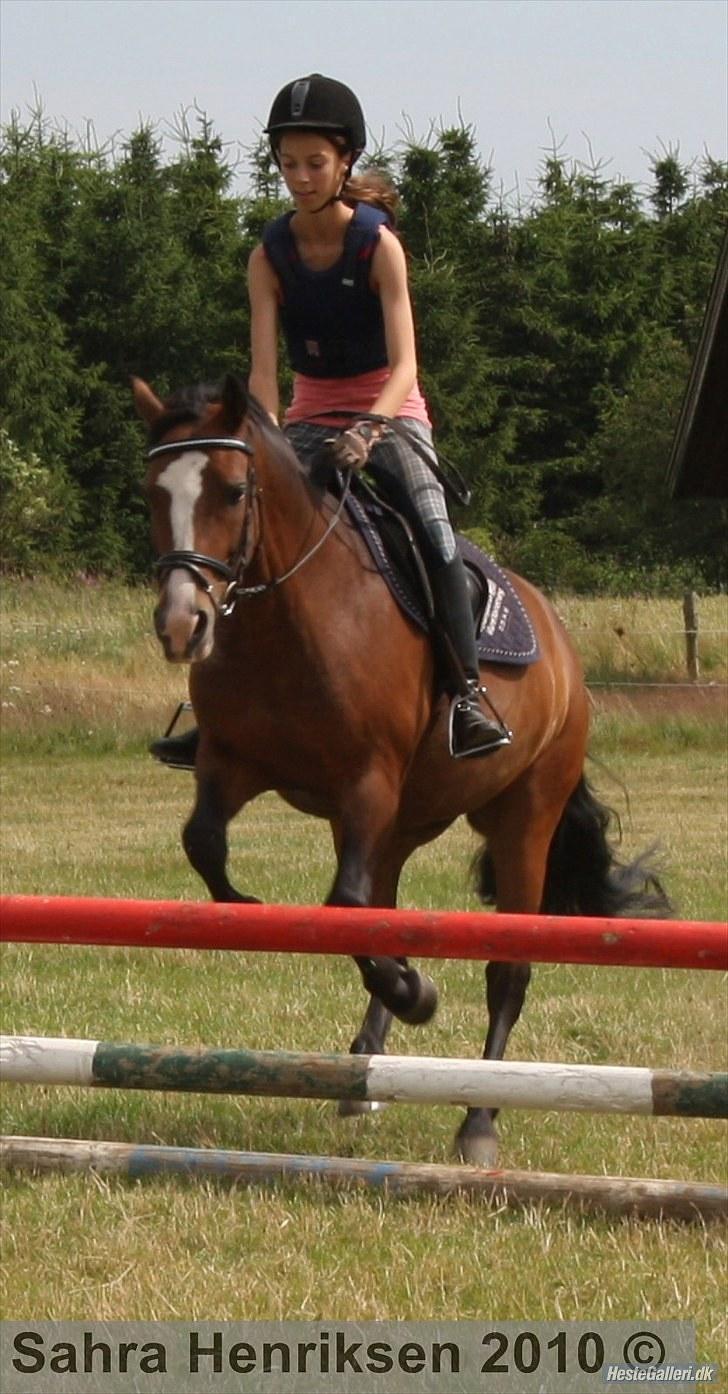 Midtjysk ridecenter - Amalie billede 14