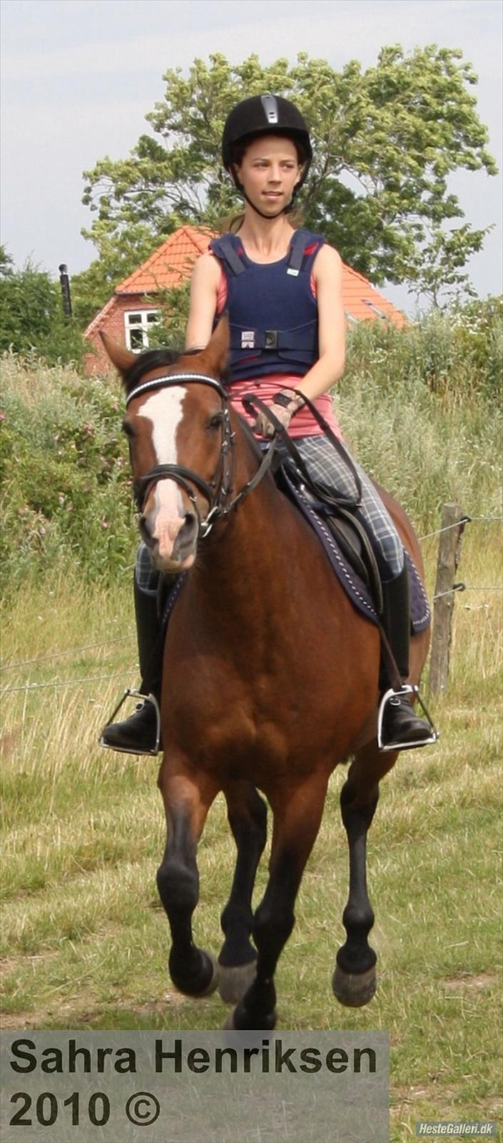 Midtjysk ridecenter - Amalie billede 15