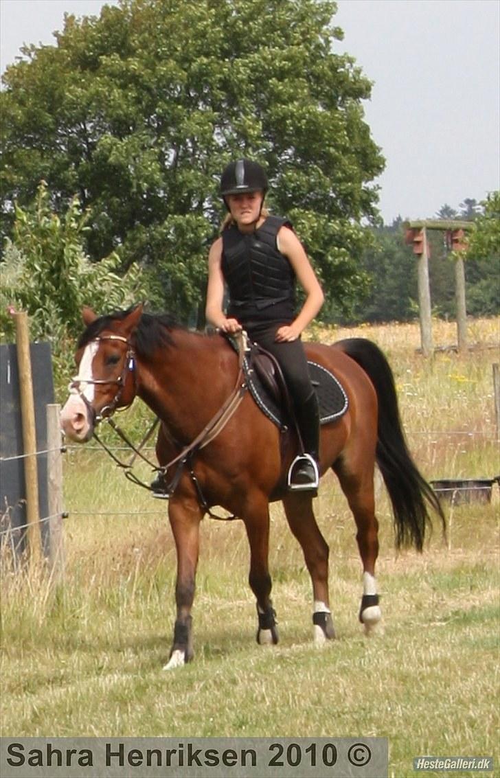 Midtjysk ridecenter - Sally billede 16