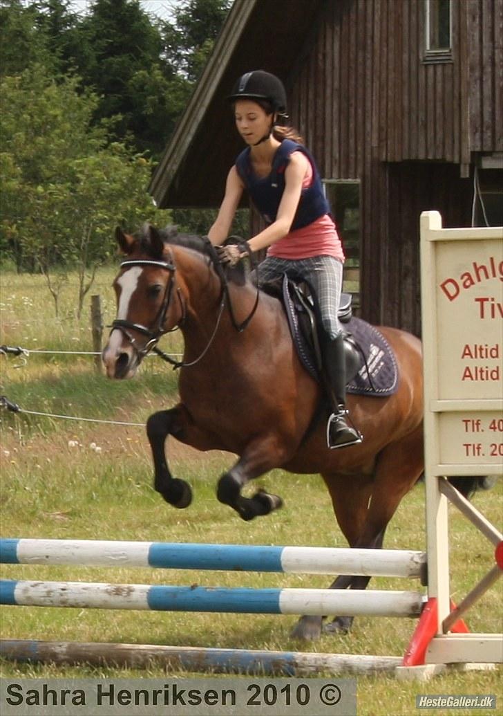 Midtjysk ridecenter - Amalie billede 17