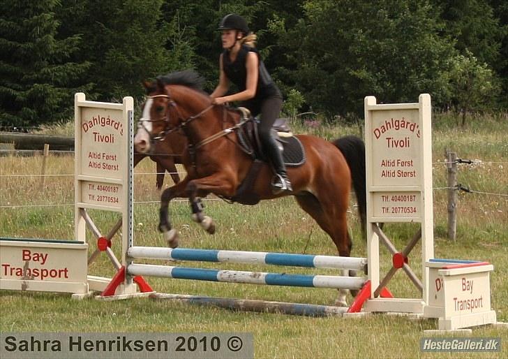 Midtjysk ridecenter - Sally billede 18