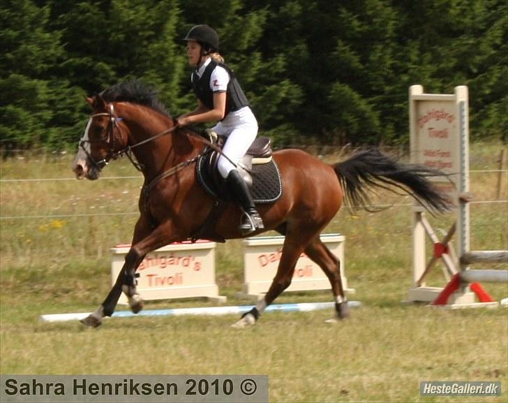 Midtjysk ridecenter - Sally billede 19