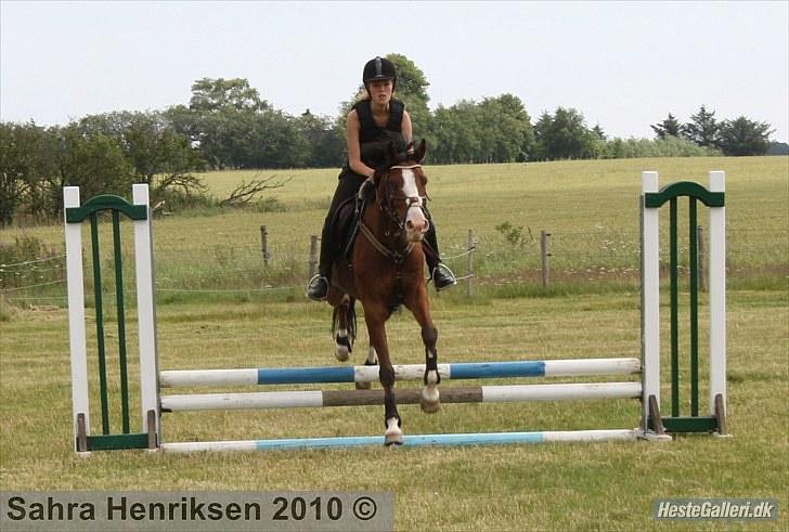 Midtjysk ridecenter - Sally billede 21