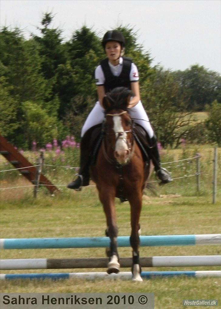 Midtjysk ridecenter - Sally billede 22