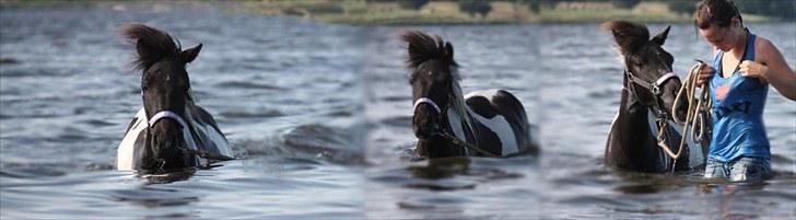 PhotoFiltre Billeder - Til Mia og Ljubljana :D billede 10