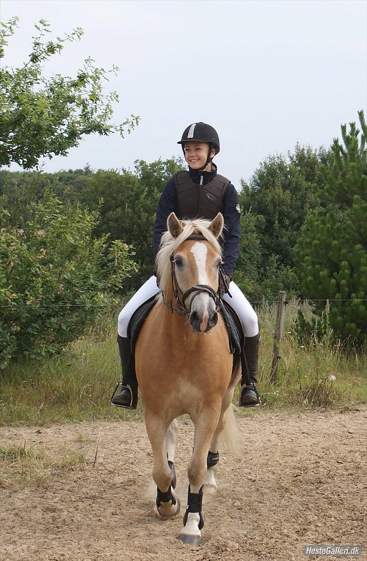 Stabejs* - Til stævne på nordan:D billede 1