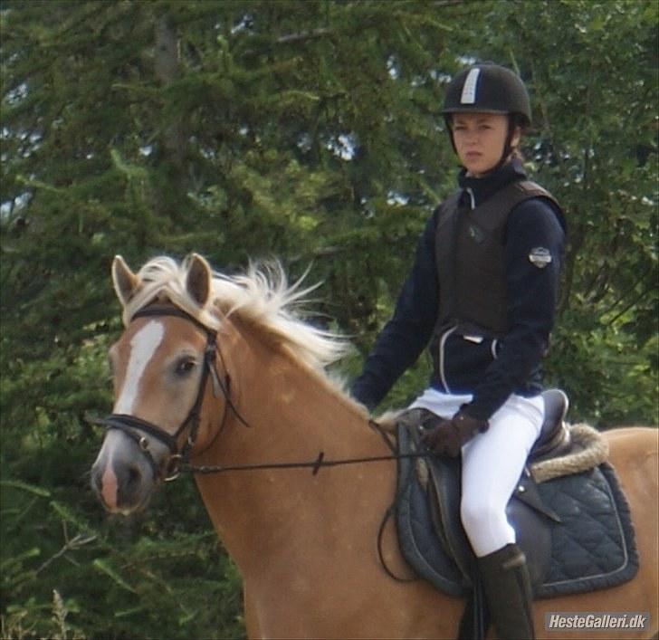 Stabejs* - ;) billede 2