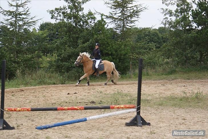 Stabejs* - På opvarmnings banen;) billede 3