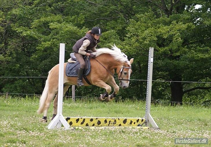 Stabejs* - Den er virkelig farlig, jeg må heller springe højt over den:D billede 8
