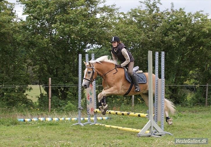 Stabejs* - Og vi fik en 2 plads jeg er virkelig stolt af min guldpony:D billede 11