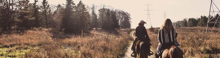 Denne sommer: Tag på rideferie med veninderne 