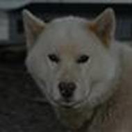 Du kan bare kalde mig Søren -