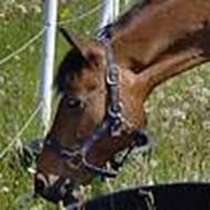 Camilla Christensen <3 '