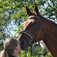 Christine & Lillehesten Faith