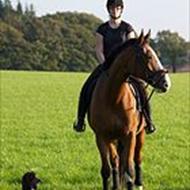 Connie(Roxette og Kalido) S