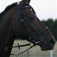 Kristina Fastrup & Columbija .