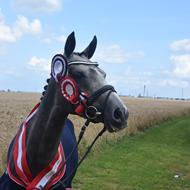 Stald Søgaard ¤Anja S¤