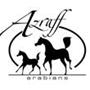 Azraff Arabians .