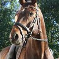 Nicoline Josephine Bach .