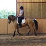 Melanie & Valerie TS 11/12 < 3