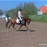 *Team EHC* Kathrine jespersen :) og shakira <3 J