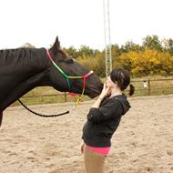 PsykoGeroTrold TEAM PGT! <3