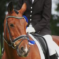 Julie Borring Petersen