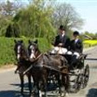 Stald Snebjerggård :