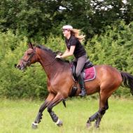 Disco og Sabrina *27/5-13 - R.I.P.*  *DAR*  < 3