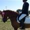Sofie Knudsen  - *Team Jetsmark*  ♥ .