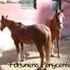 • Fortunens Ponycenter •