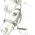 Cille <3