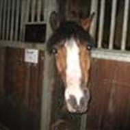 Caroline &' Magic <'3#BAR# .