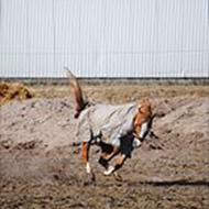 Soulmates are forever, not just a time! !