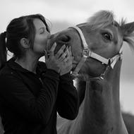 Alberte Lahn & Pakko