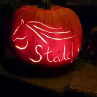 Stald Storm