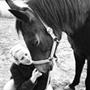 Cille&Ronja  ;) .