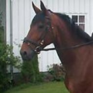 Charlotte og Amina H