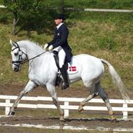 Vinther Eventing