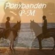 *Ponybanden P-M* Maggie&Ida * Vi gør ALT med sti *