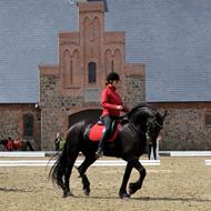 Bygballegårds Fries og Fell