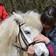 * ~ * Cecilie Salling * ~ * .