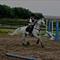 Malou's max d:' <