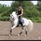 Julie&Amadeus!