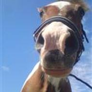 » Christina F  (JBFP) !