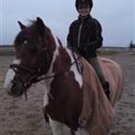 !~-Sprinter&Trine-~! .