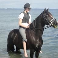 Elisabeth&Diadem *Lerbækhus* .