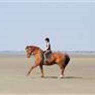 Clara ' TRR *; dm mester 09&10 <3 '