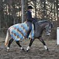 Team forvokset ponyer Nethe & W'Air !