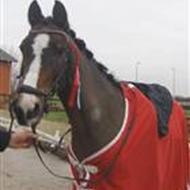 Hanne-
